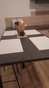 LONI EXPERIENCES - Indus