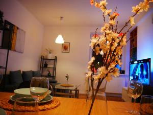 Spacious 3 room apartment in center perfect for family or a group of friends