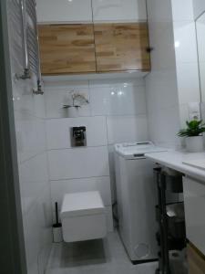 Spacious 3 room apartment in center perfect for family or a group of friends