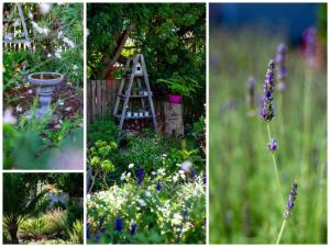 Rias Rest Self Catering Flatlet