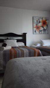Aparthotel zona 9