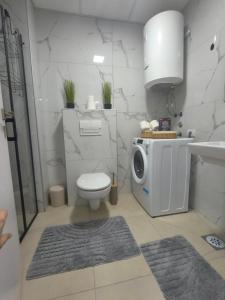 The V Apartment 2
