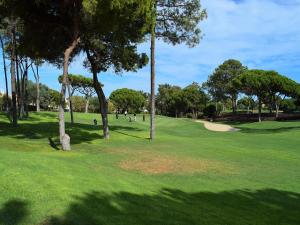 Sunny Balcony Apartment and Pool