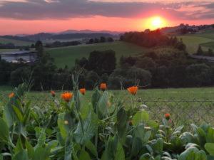 Family Holiday Home in Bavaria