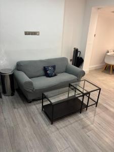 hamilton spacious flats