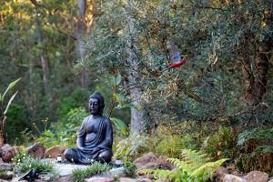 Dorrigo Bush Pepper Retreat