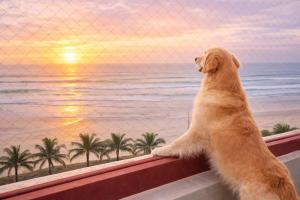 Rose Beach Experience Frente Mar Vista Total Garagem WiFi