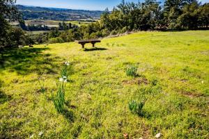 Sonoma Paradise on the Ridge