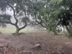 Sonoma Paradise on the Ridge