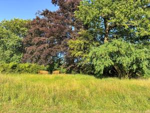 Lavender Cottage -Uk49209