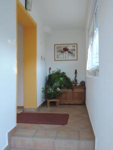 Appartement Maistatt