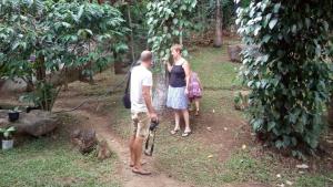 Ella Nature Park Hotel and Hostel