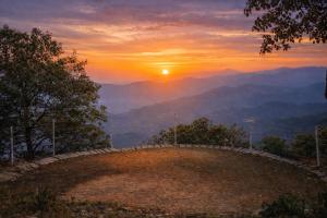 Essence of Nature, Ranikhet