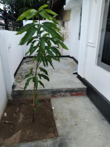 MercuryFM 121- House Jaffna - 3rd Cross street 135
