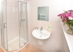 Single Room with Shared Bathroom room in Acer Glen B&B