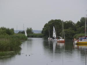 Wodnik