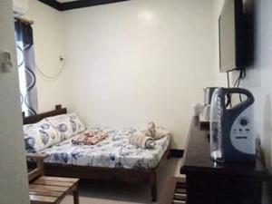 Balai Mariacaria Pension House