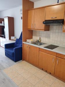 Apartment Maja Moravske Toplice