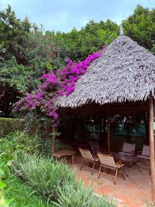 United House Nairobi Gigiri