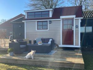 Per 1 april 2026 te huur Prachtig Tiny House De Hutte