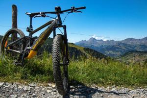 Résidence Les Oursons - Appartement de charme au pied des pistes et proche de lEsf MAE-2504