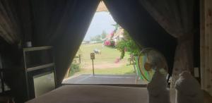 The Camping Field