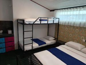 Carlton Hostel