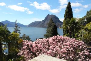 Barony romantic-residence