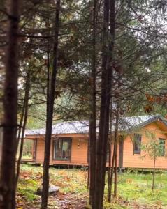 Чорногірський двір