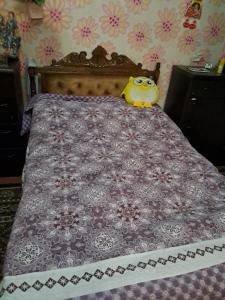 Hotel kazbegi1