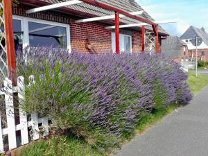 Unser Haus am Deich - Meerblick