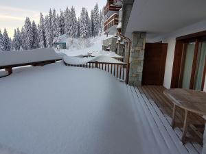 Appartements Les Saisies Bisanne : photos des chambres