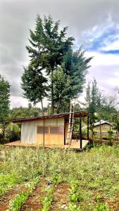High Altitude House of Light