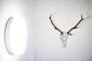 Holiday Home Viehhofen