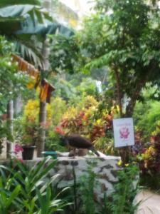 Nelum Nest 2 Room Apartment