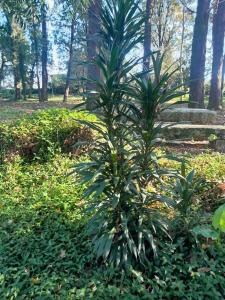 Quinta da Calça - Esposende