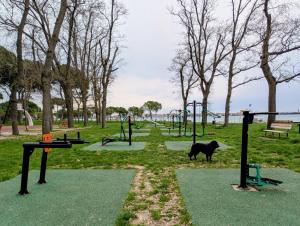 Ca Giulia - Biennale - free wifi fiber