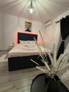 Studio de lux Craiova Zona Ford
