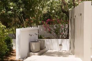 Skiathos Holidays Skiathos Greece