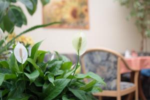 Pension Regina - Inh. Monique Kluge