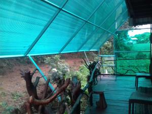 Moon Plains Forest Log