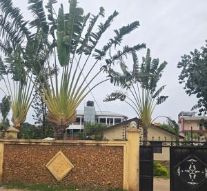 Diana Kikis Homes