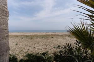 The Sea Under the House