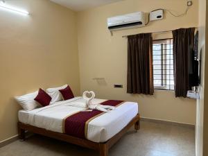 Star Eco Stay