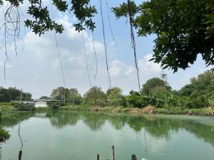 Quiet Retreat Near Airport & City Access