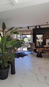 Luksusowa Willa z Ogrodem, Jacuzzi i Kominkiem