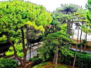 Erma Home in Front of Sea