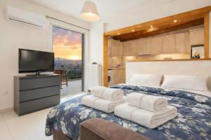 Acropolis Penthouse View