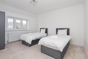 Spacious 4BR Home Garden & Office Space