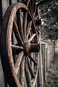 Holiday house with landscape garden